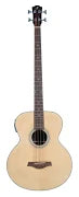 J Reynolds JR1000 Acoustic-Electric Bass