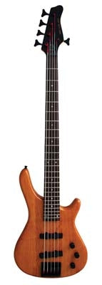 Stadium 5 String Bass Guitar