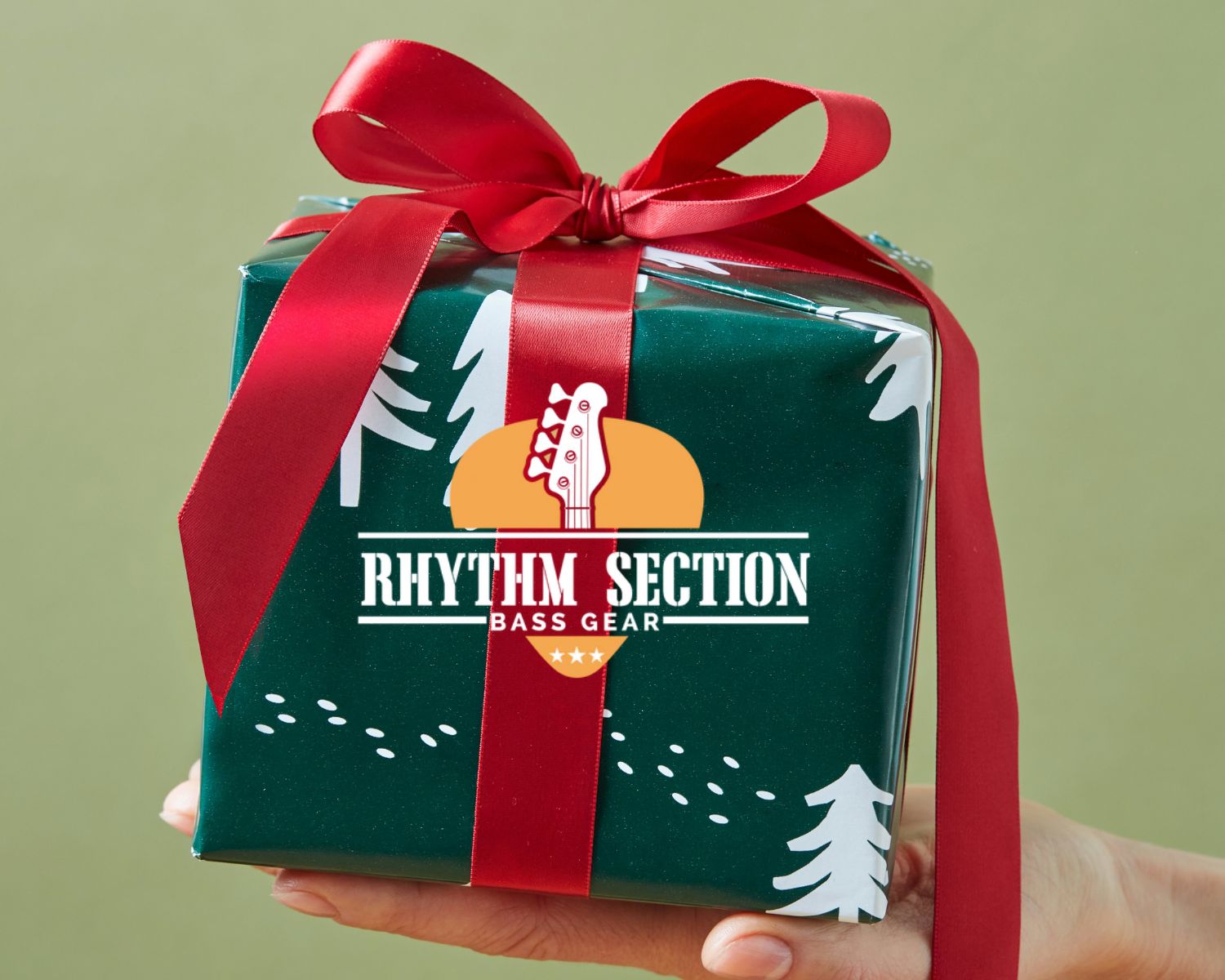 Holiday Deals on Bass Guitars and Drums – Perfect Gifts for Musicians