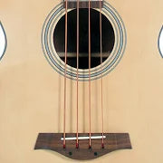 J Reynolds JR1000 Acoustic-Electric Bass